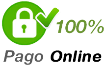 Pago 100% online Pago 100% Online